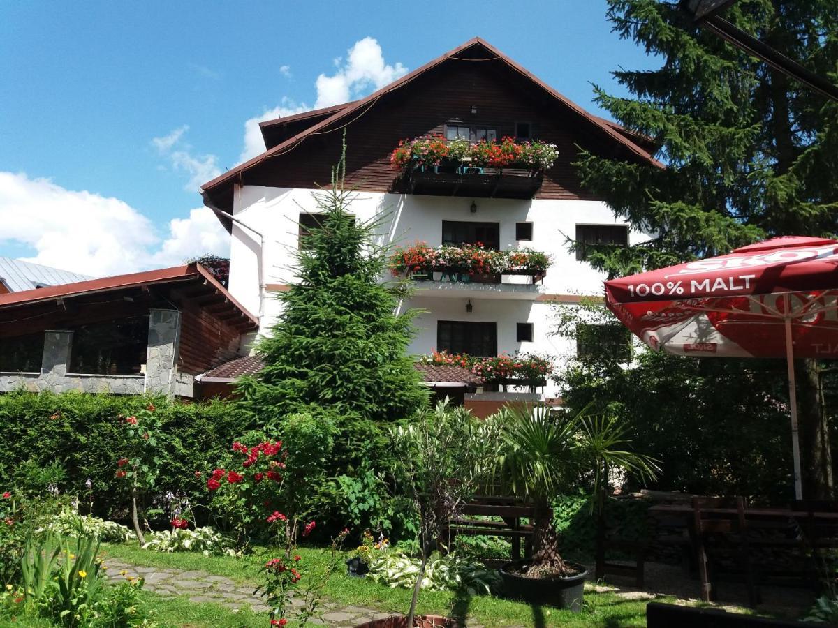 Pensiunea Liziera Buşteni Exterior foto