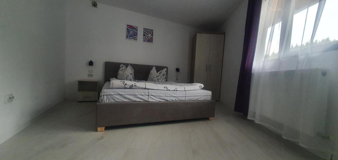 Pensiunea Liziera Buşteni Exterior foto