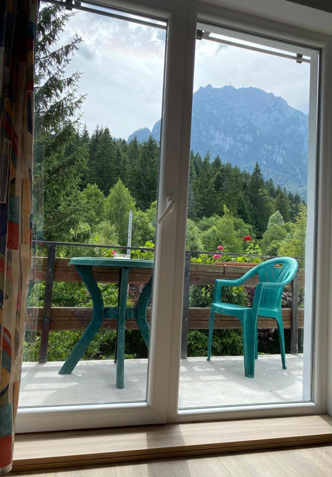 Pensiunea Liziera Buşteni Quarto foto